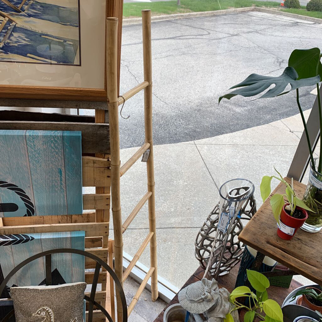 Bamboo Ladder