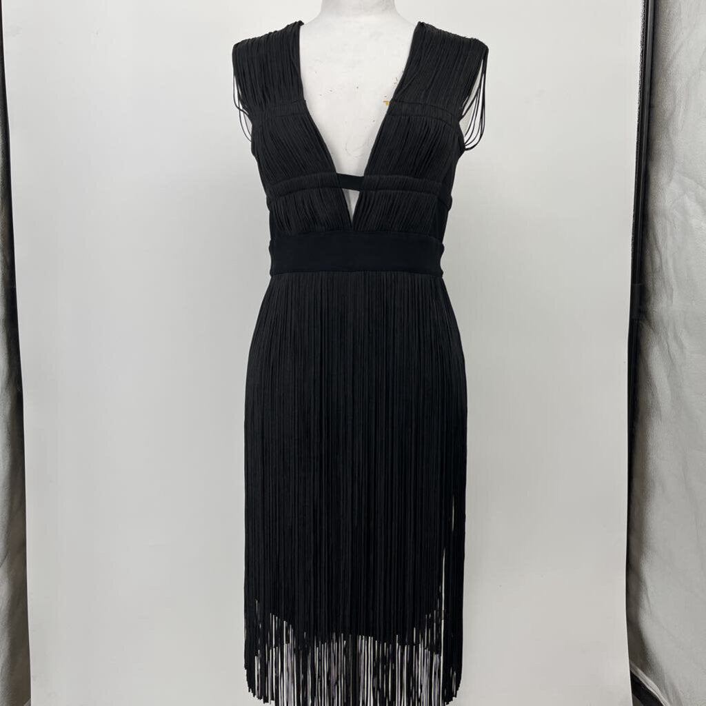 Herve Leger slvls fringed Dress