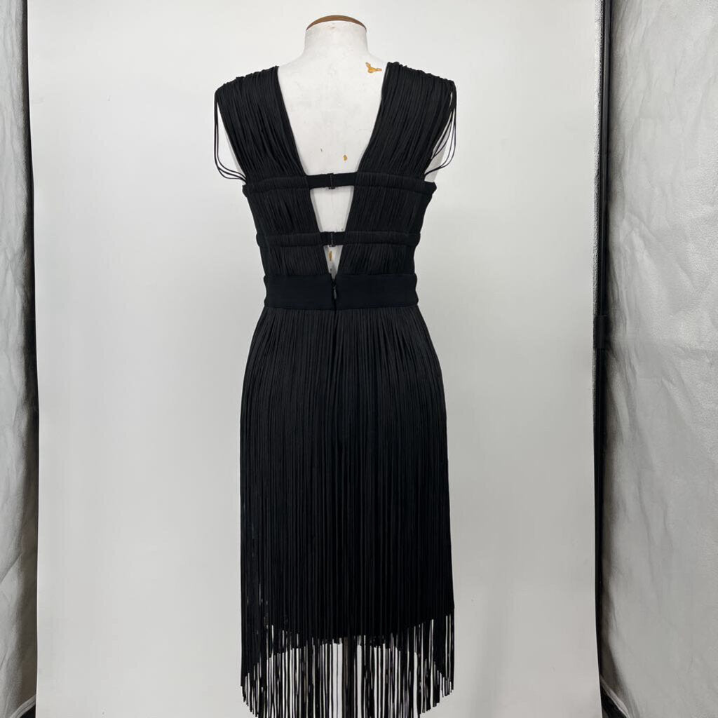 Herve Leger slvls fringed Dress