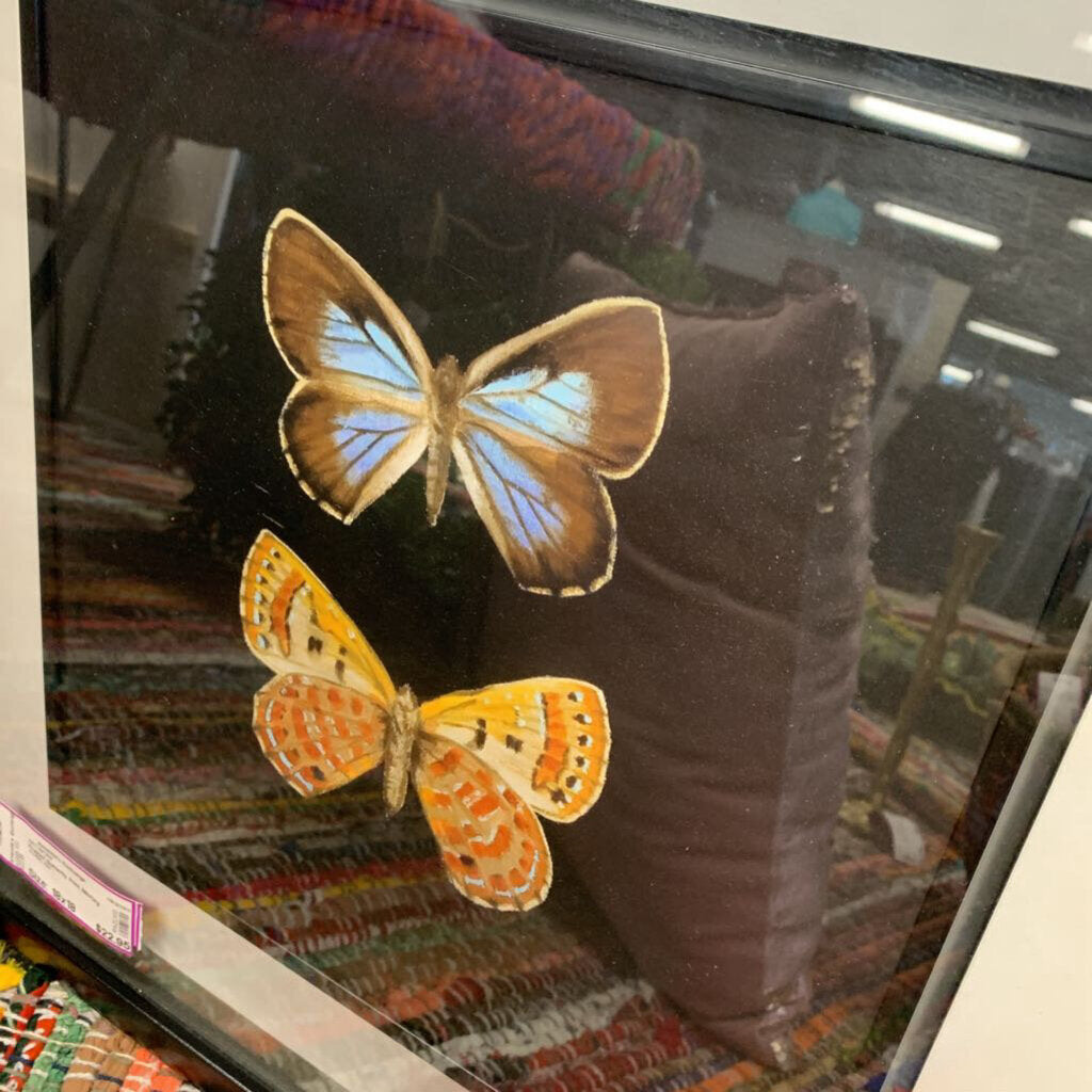 Framed Butterfly Print