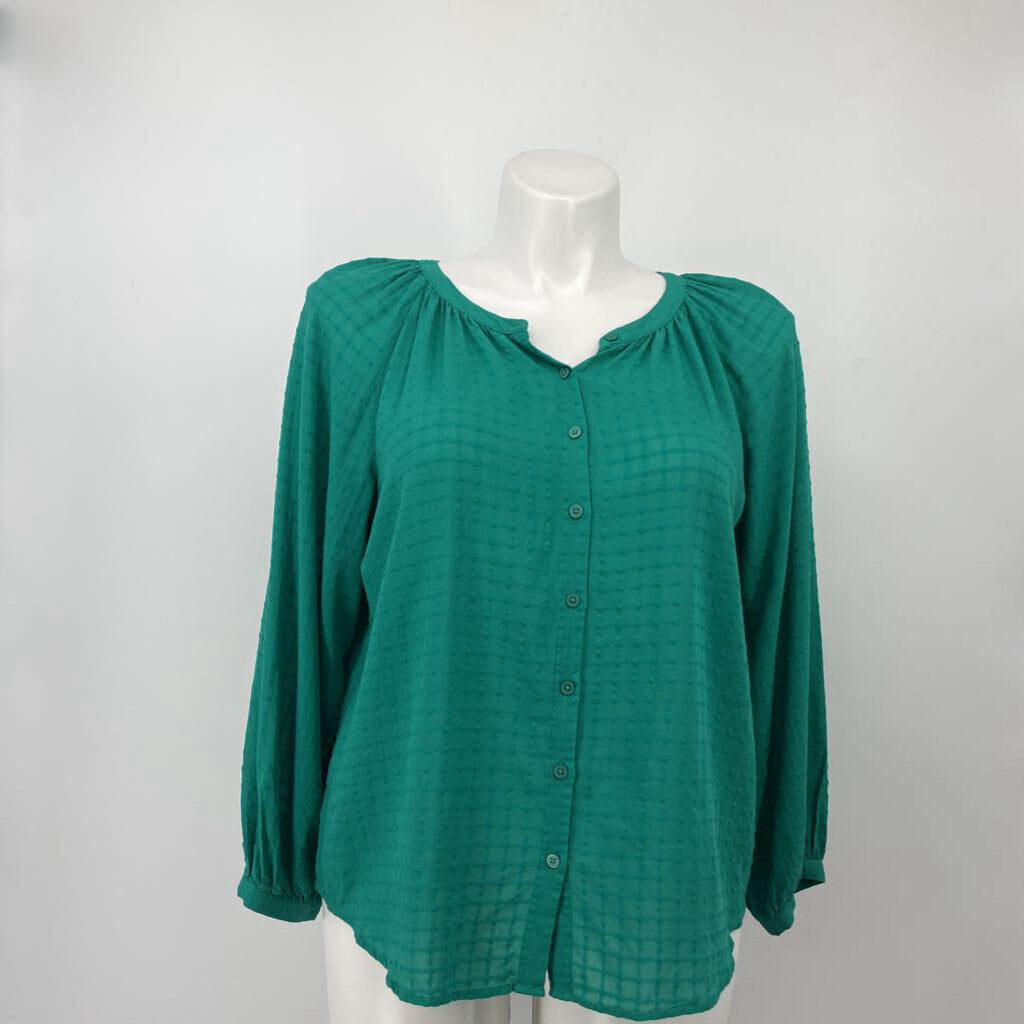 Ann Taylor L/s Shirt