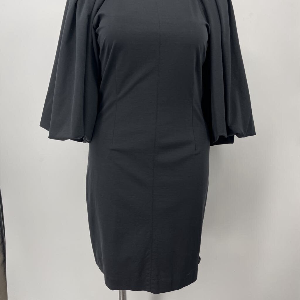Rebecca Taylor 3/4 Puff slv Dress
