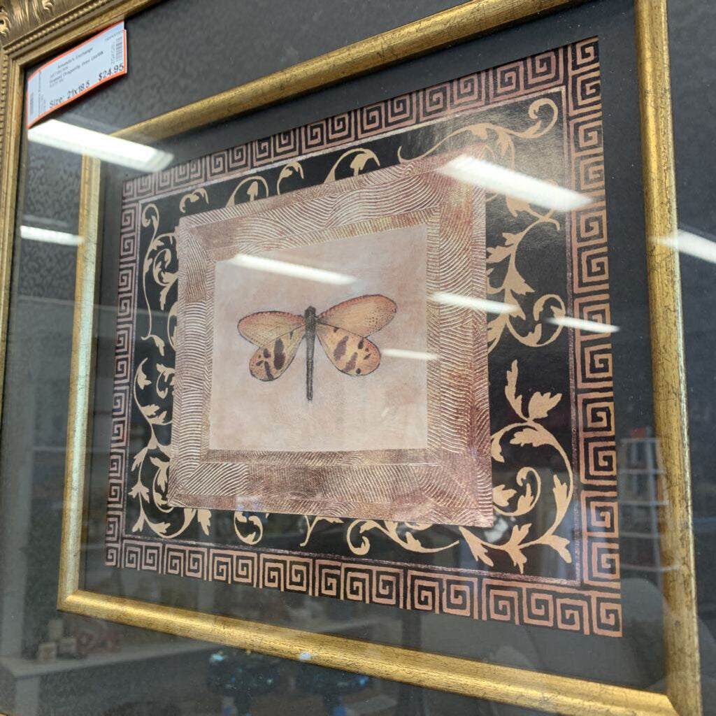 Framed Dragonfly Print