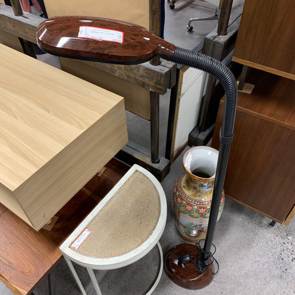 Gooseneck Floor Lamp