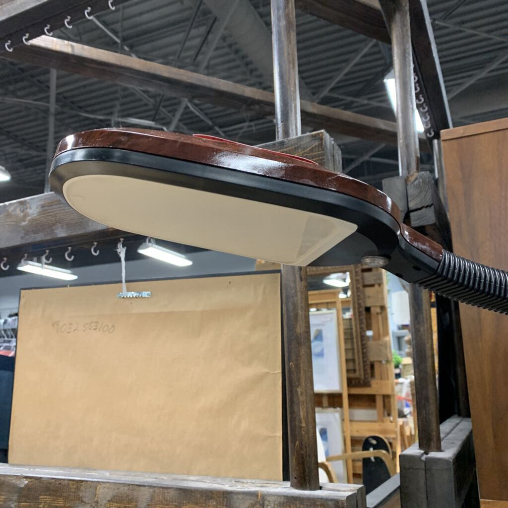 Gooseneck Floor Lamp