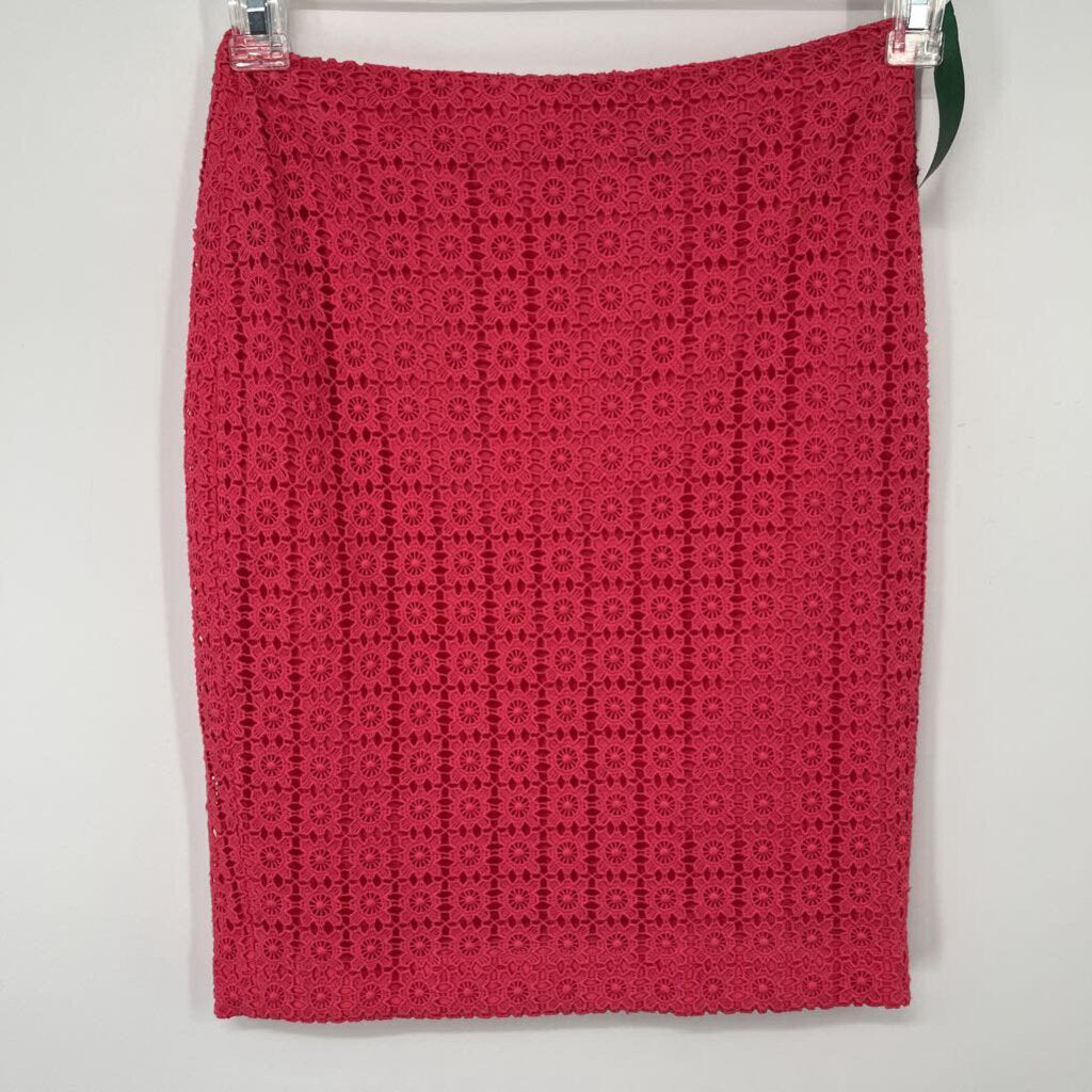 Ann Taylor Pencil Skirt