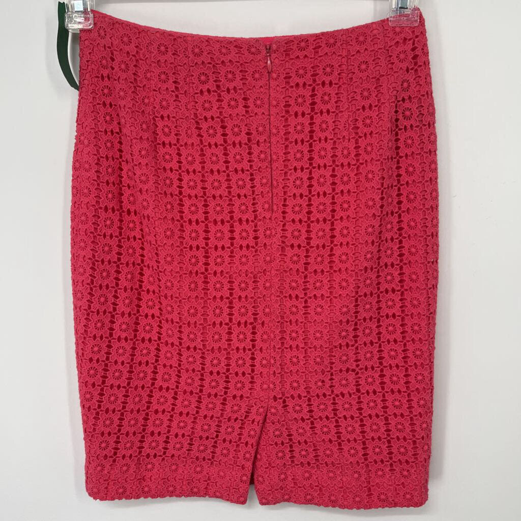Ann Taylor Pencil Skirt