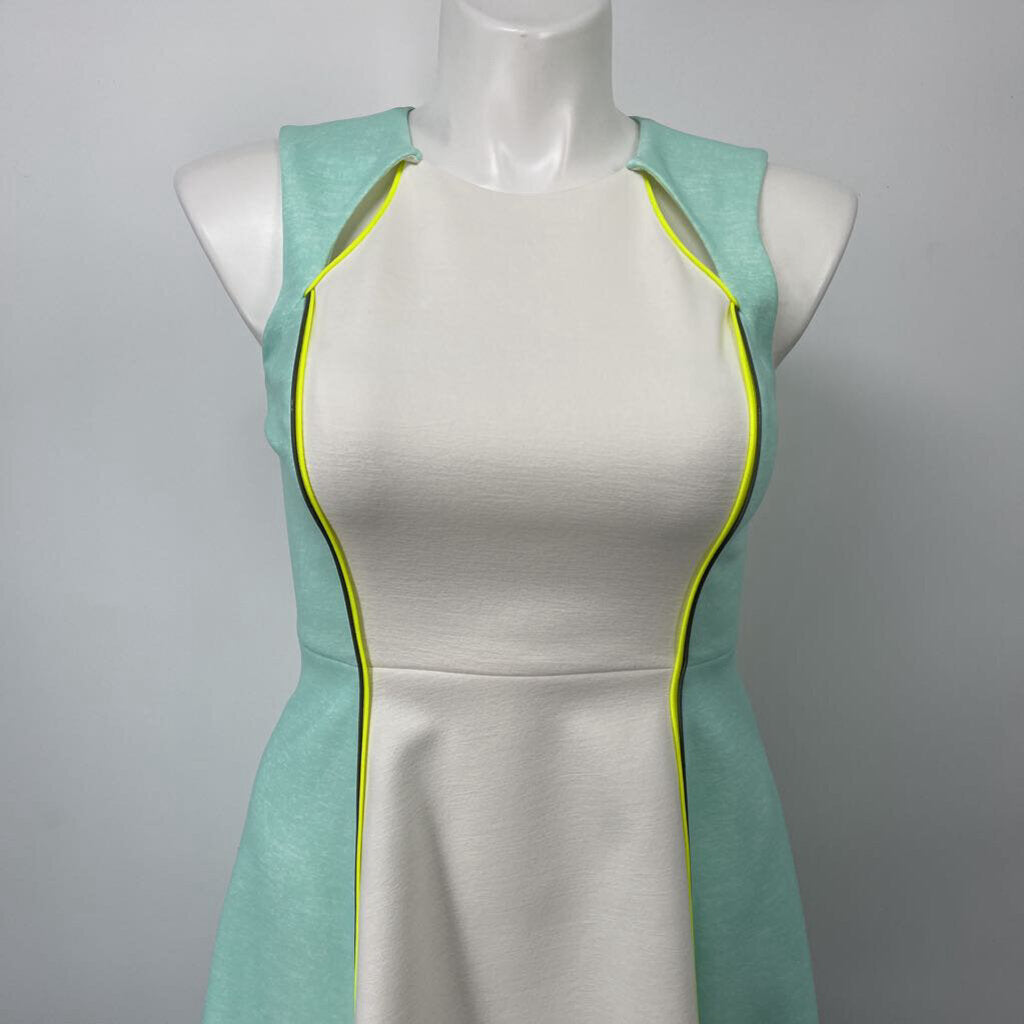 Catherine Malandrino Slvls Dress