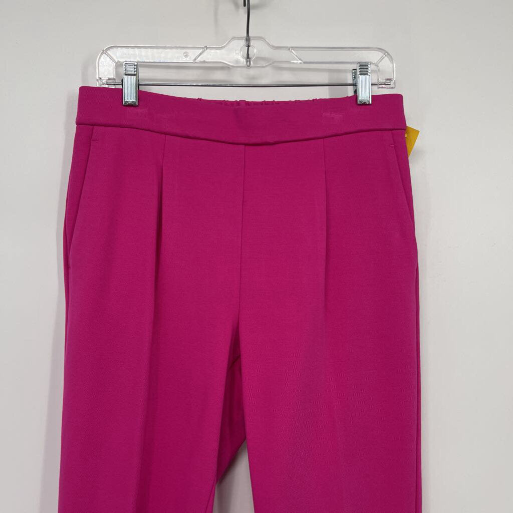 Ann Taylor Pant