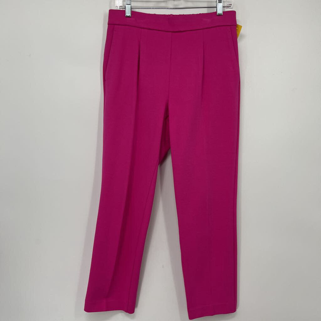 Ann Taylor Pant