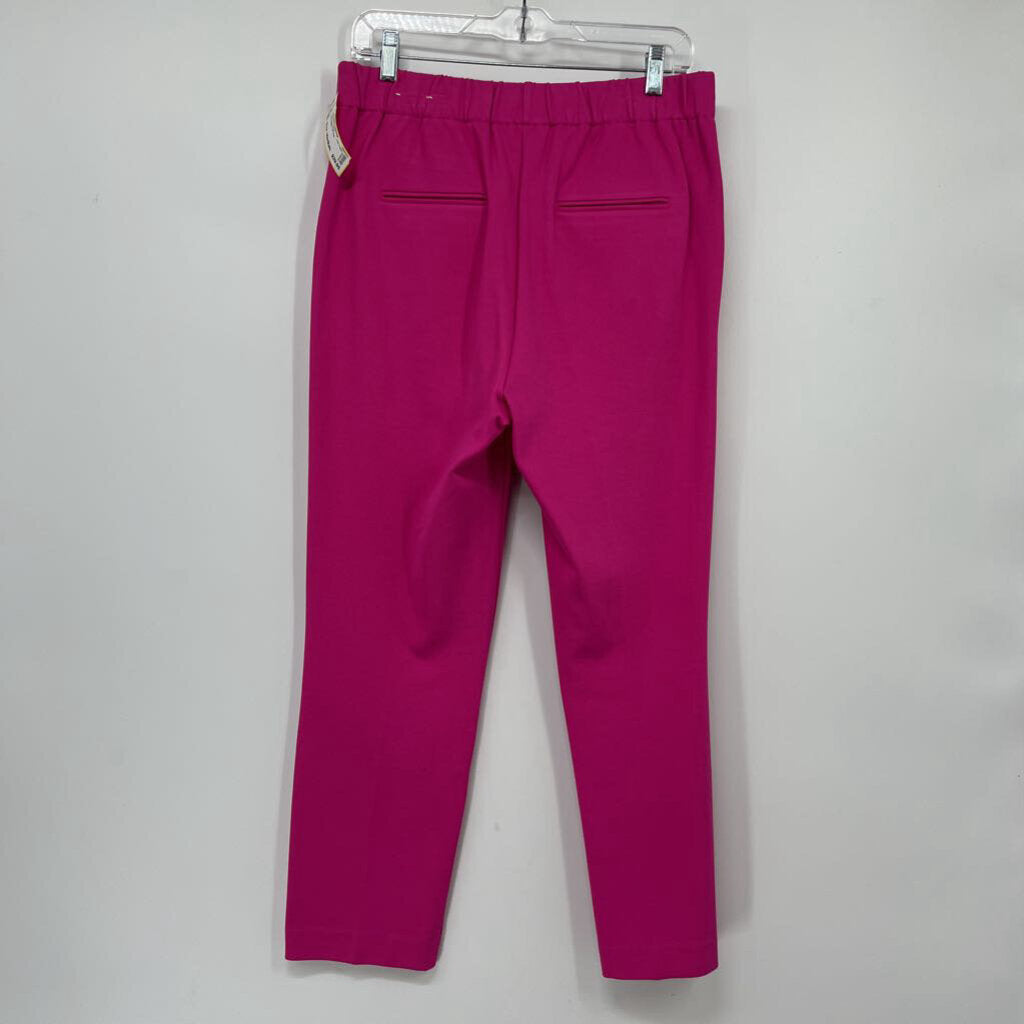 Ann Taylor Pant