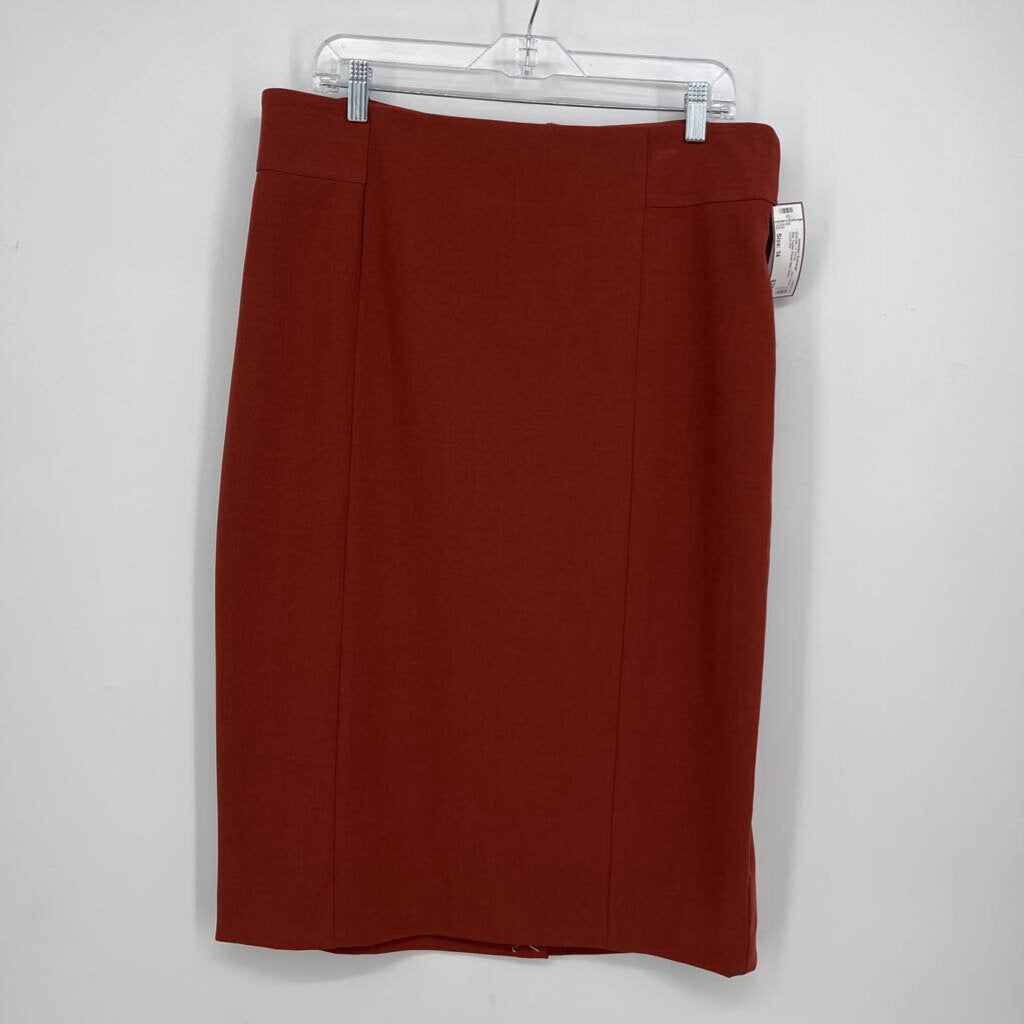 Ann Taylor Pencil Skirt