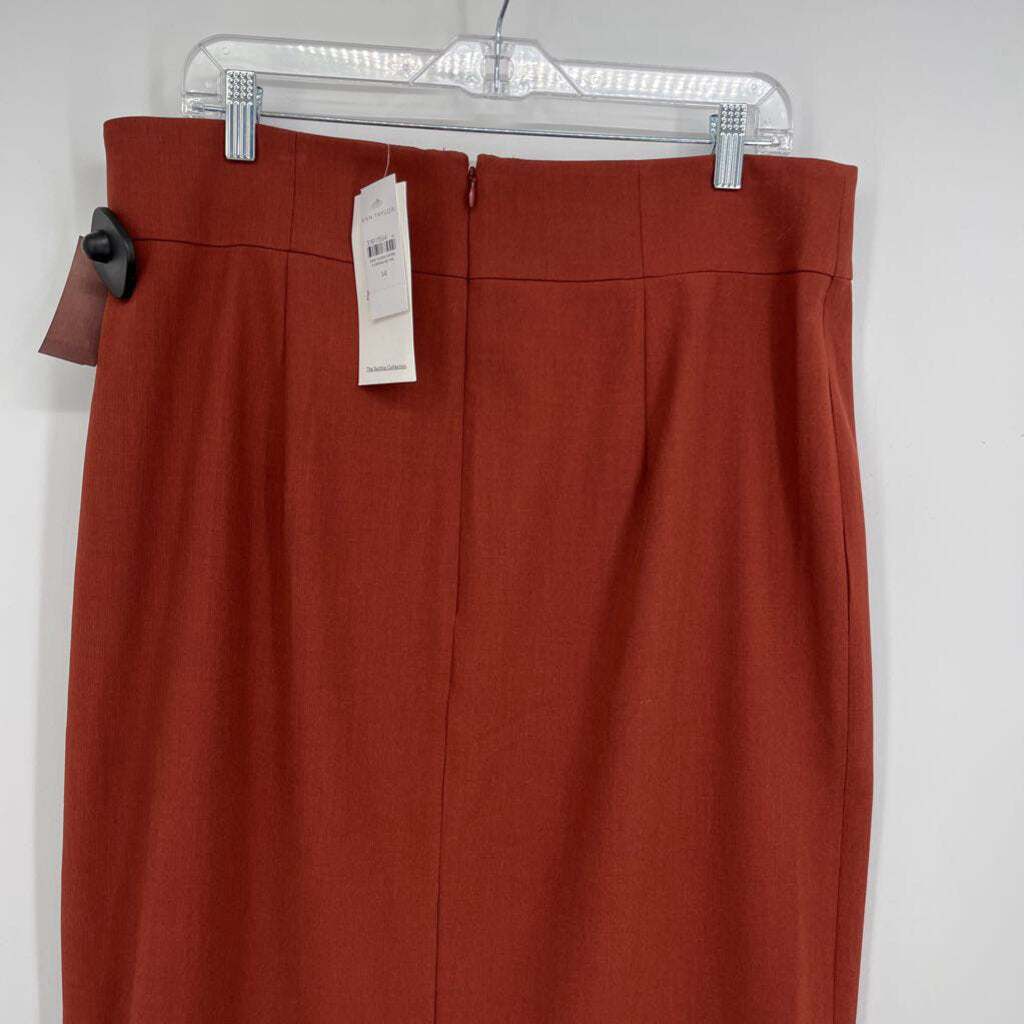 Ann Taylor Pencil Skirt