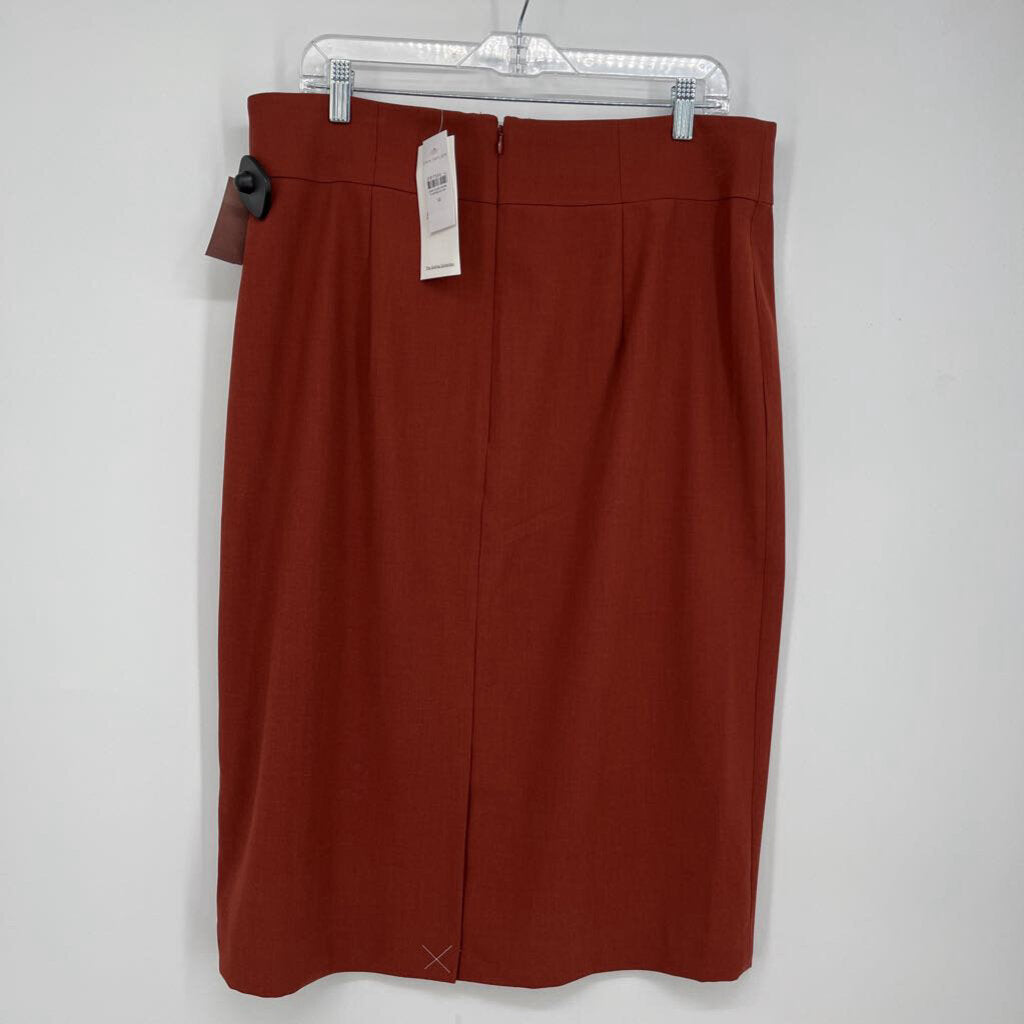 Ann Taylor Pencil Skirt