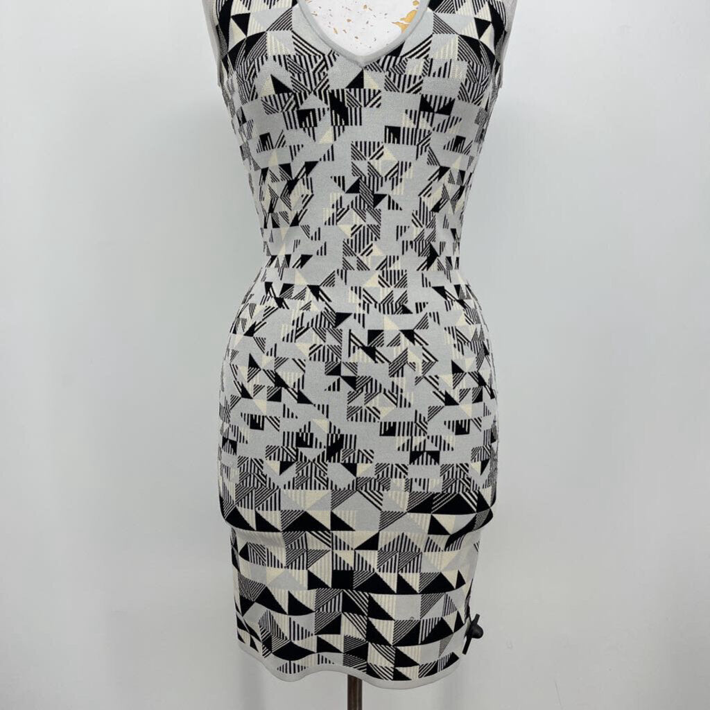 BCBG Sleeveless Knit Dress