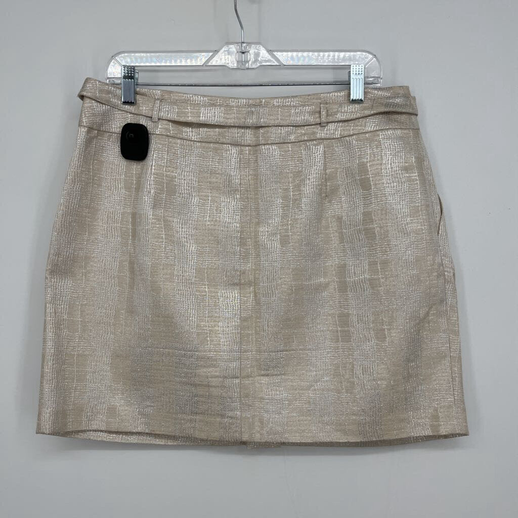 Club Monaco Skirt