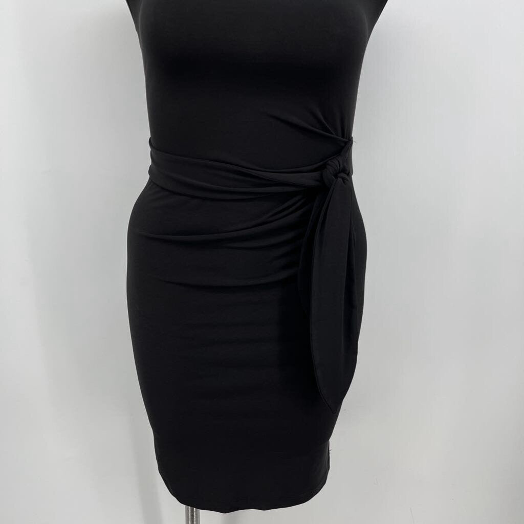 Motherhood Slvls dress