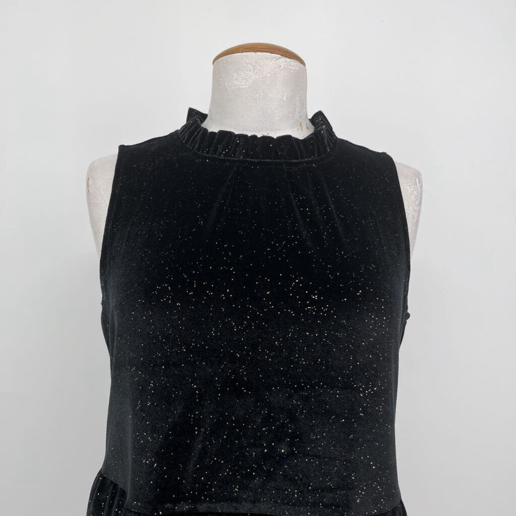 J. Crew Velour Dress