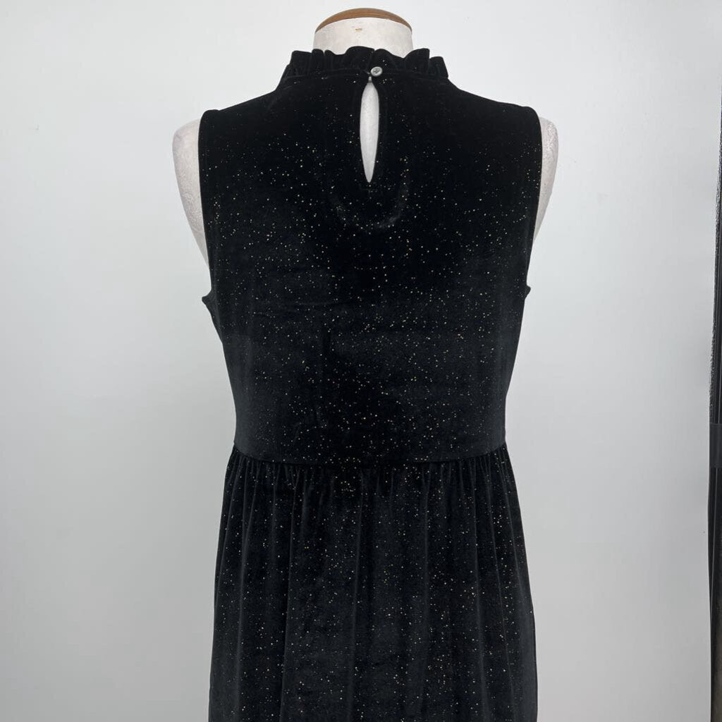 J. Crew Velour Dress