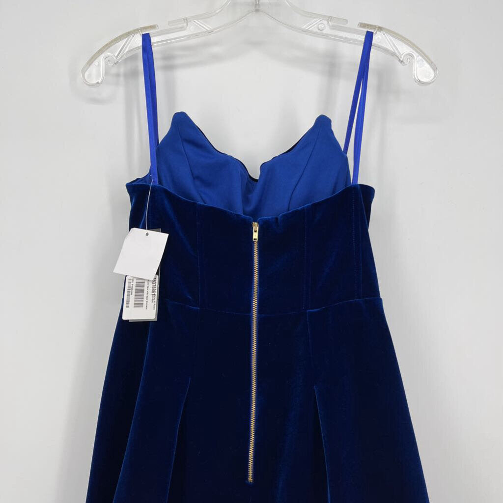 Betsy & Adam Velvet Dress