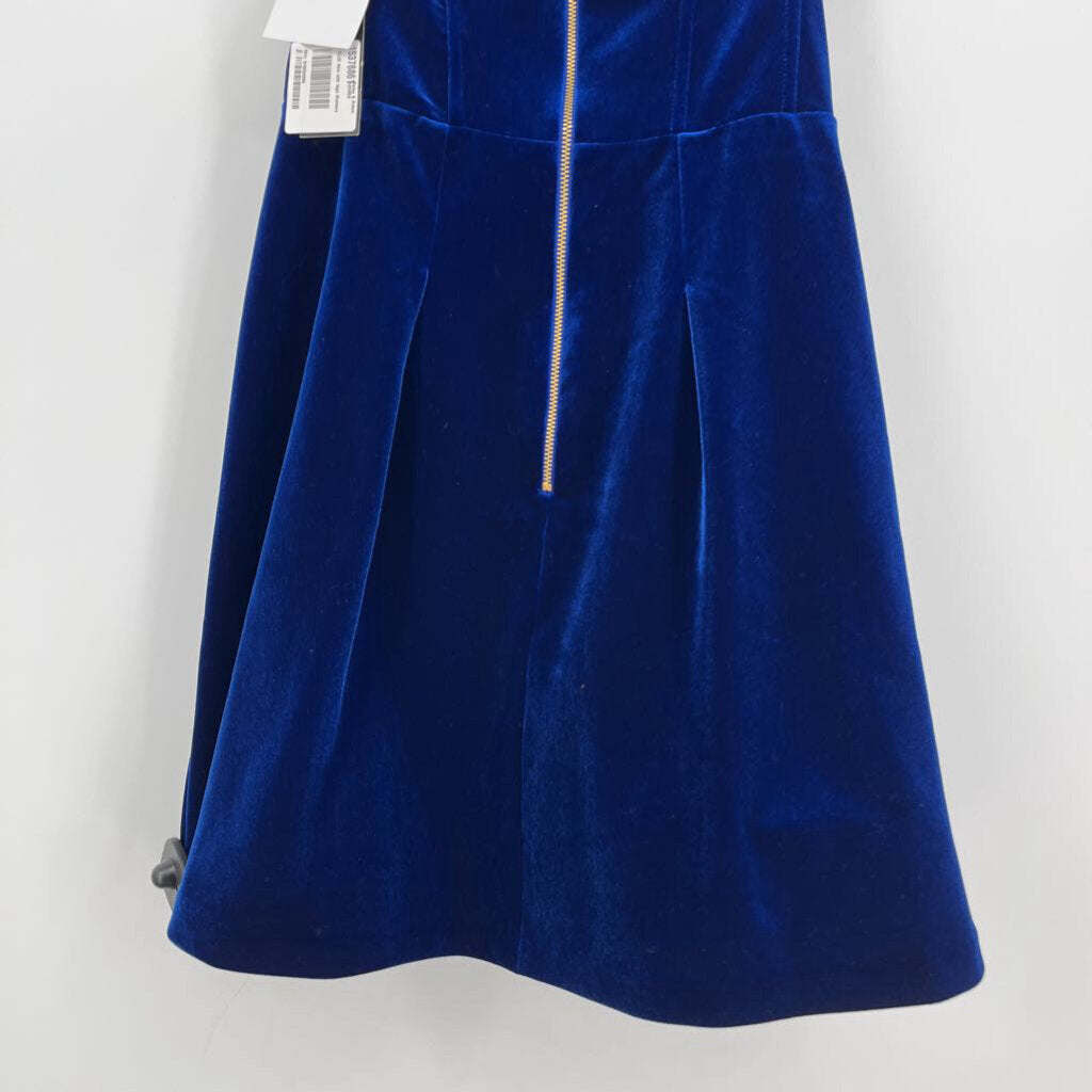 Betsy & Adam Velvet Dress