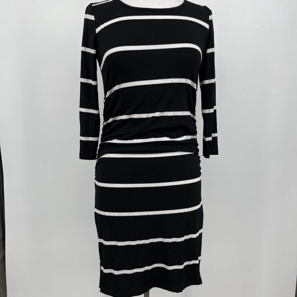 Star Motherhood L/s Stripe Dress