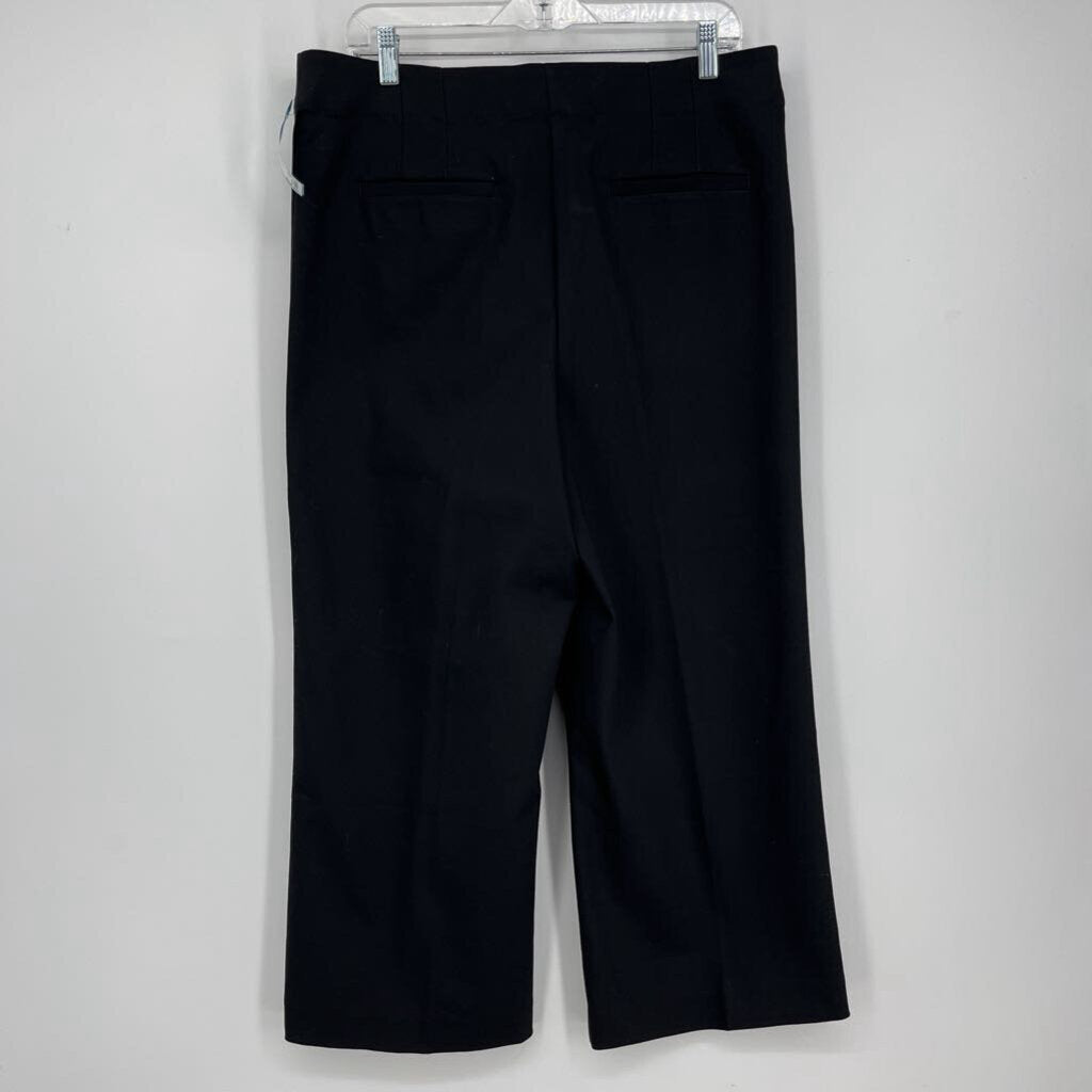 Loft Wide Leg Pants