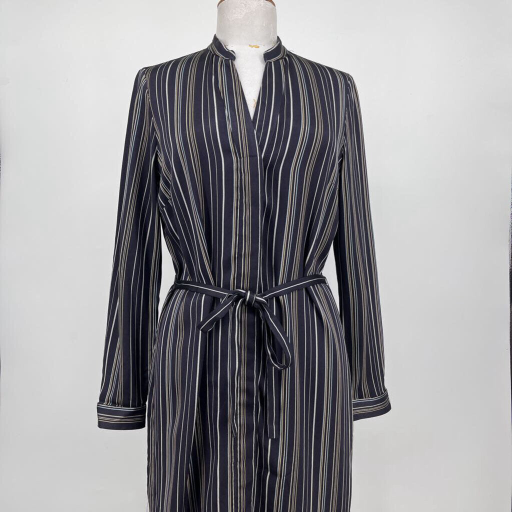 Ann Taylor l/s Dress