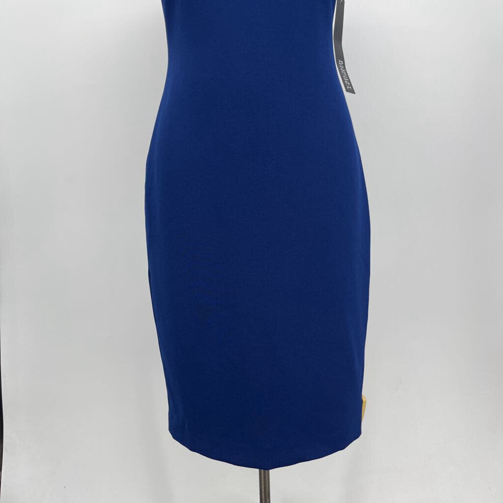 Badgley Mischka S/s Dress