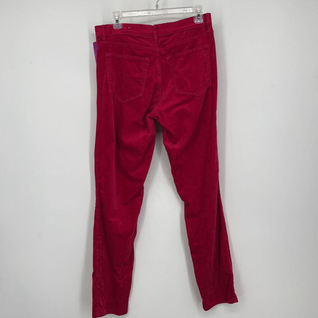 Loft Velvet Pants