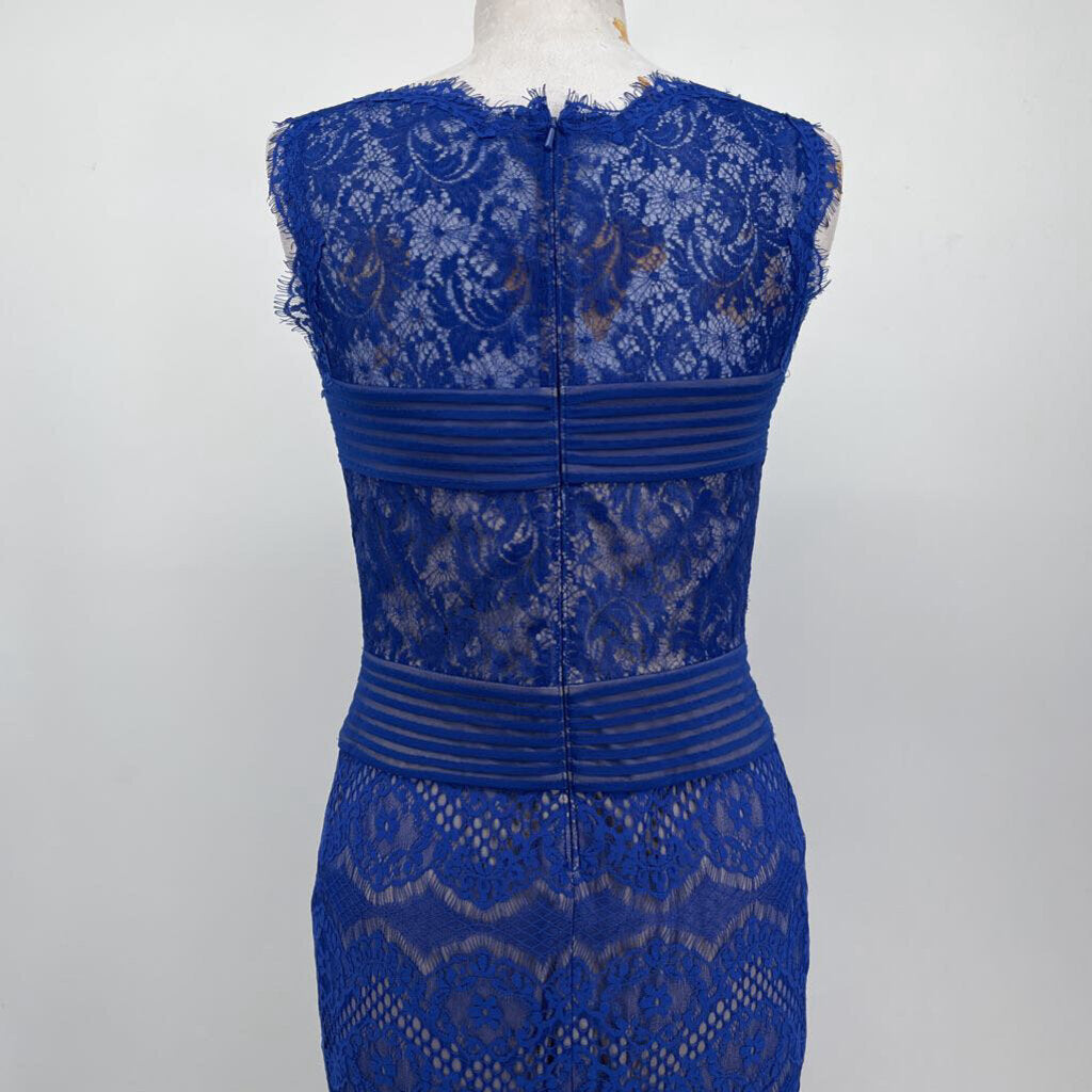 Tadashi Shoji slvls lace Dress