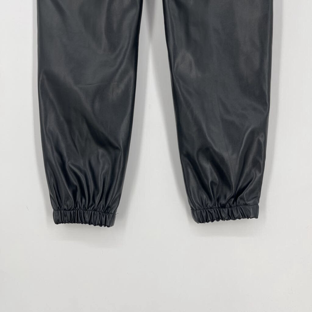 Klesis Pleather Pants