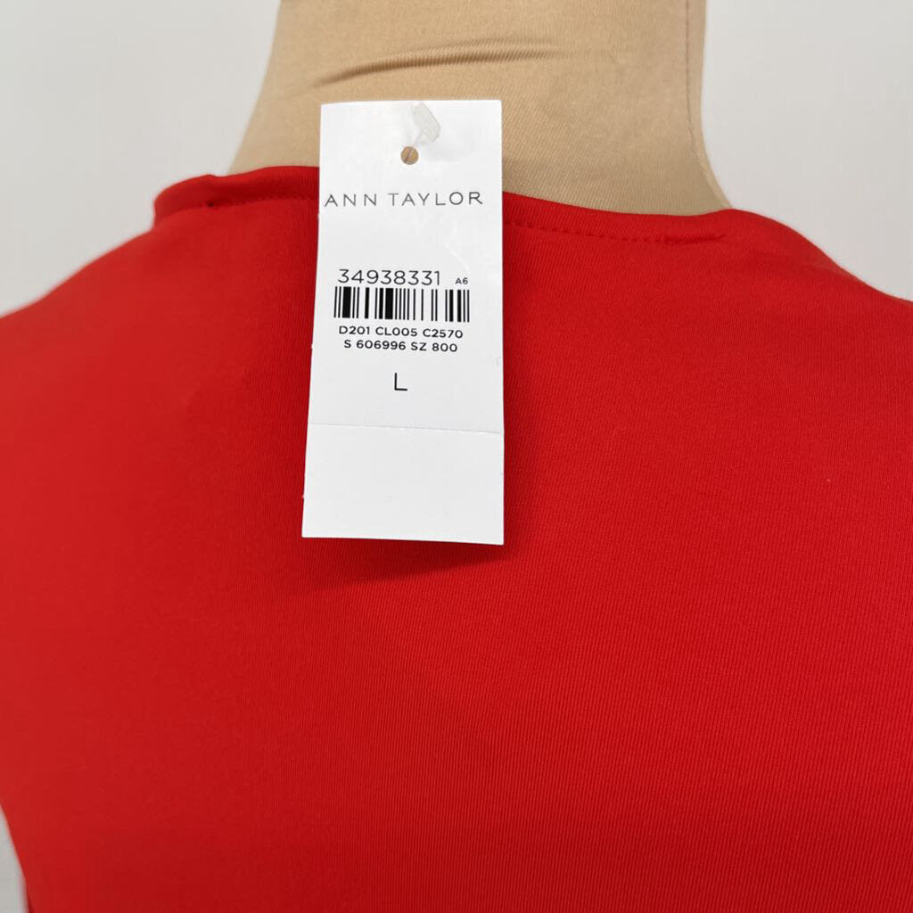 Ann Taylor S/s Shirt