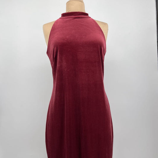 WHBM slvls velour Dress