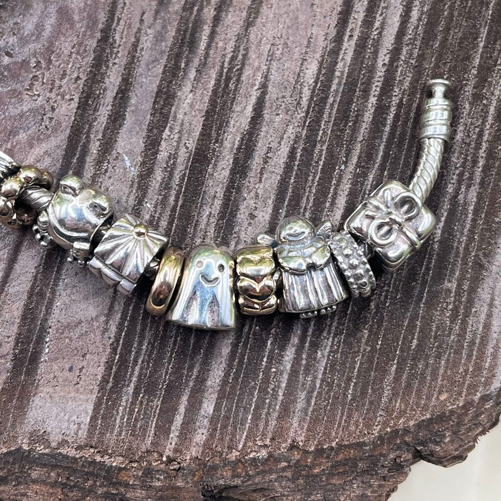 Pandora Charm Bracelet