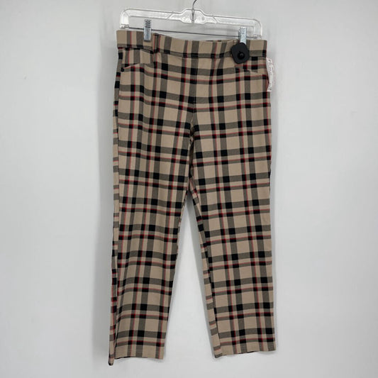 Sanctuary Plaint Pants