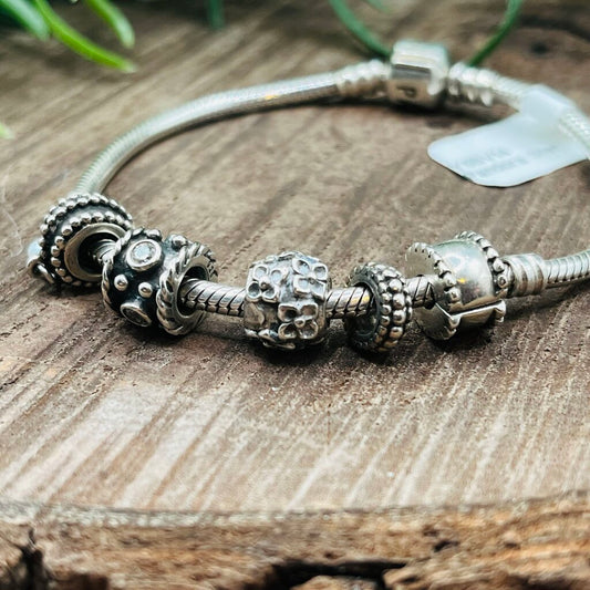 Pandora Charm Bracelet