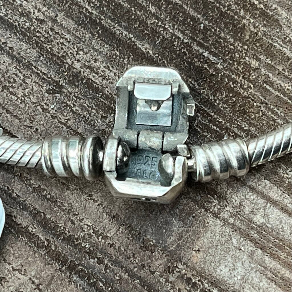 Pandora Charm Bracelet