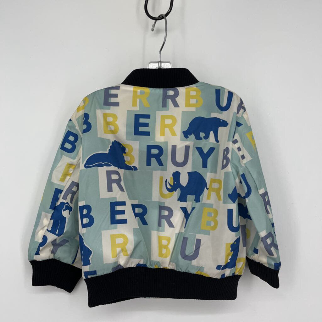 Burberry Windbreaker