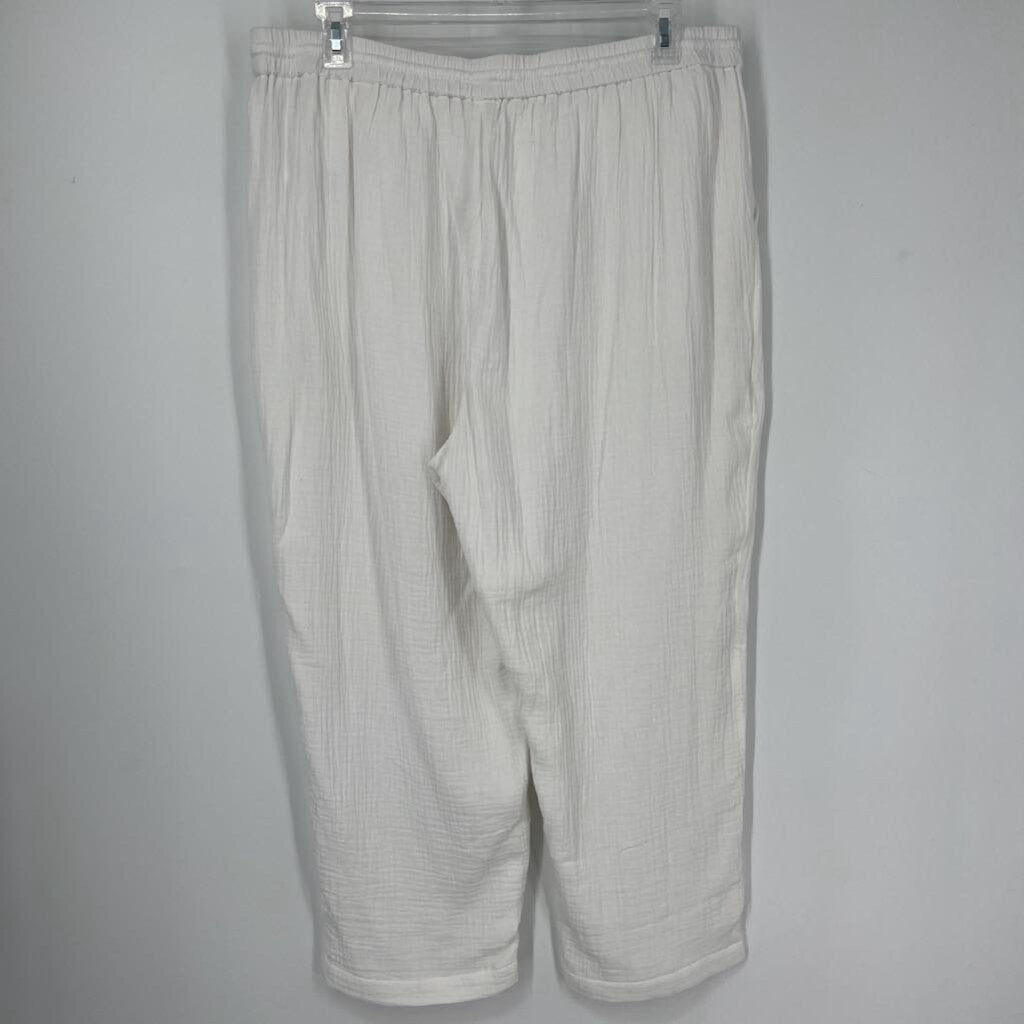J. Crew Gauze Pants