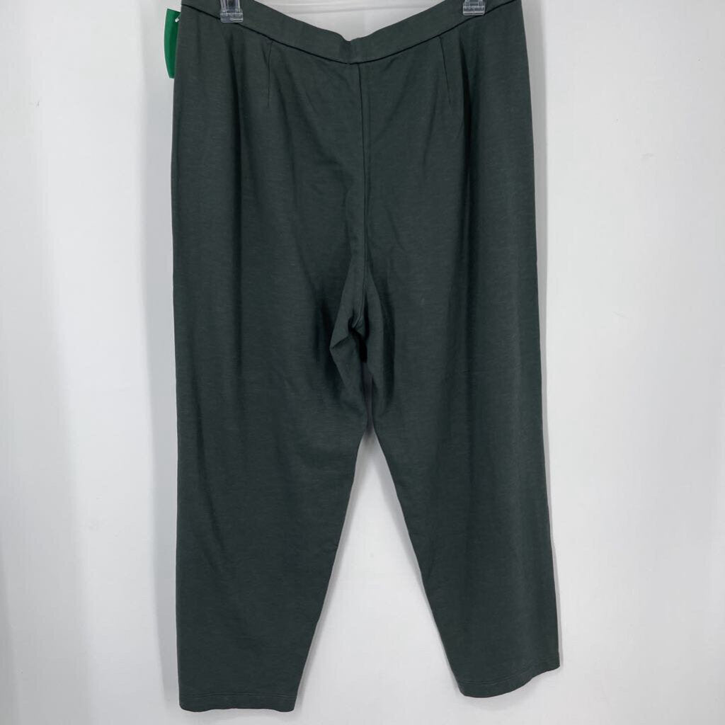 Eileen Fisher Pants