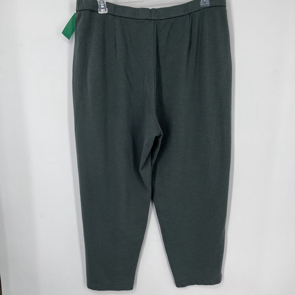 Eileen Fisher Pants