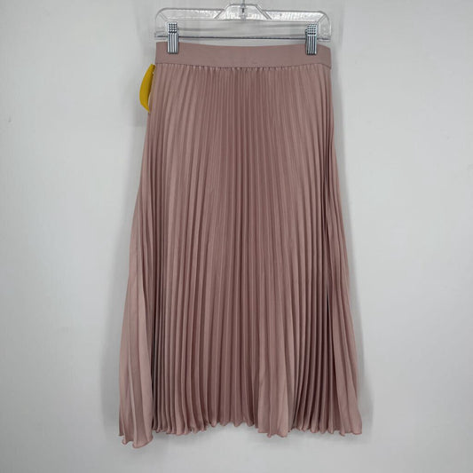 H&M Pleat Skirt
