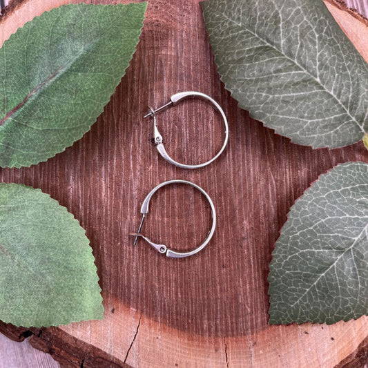 Brighton Contempo Earrings