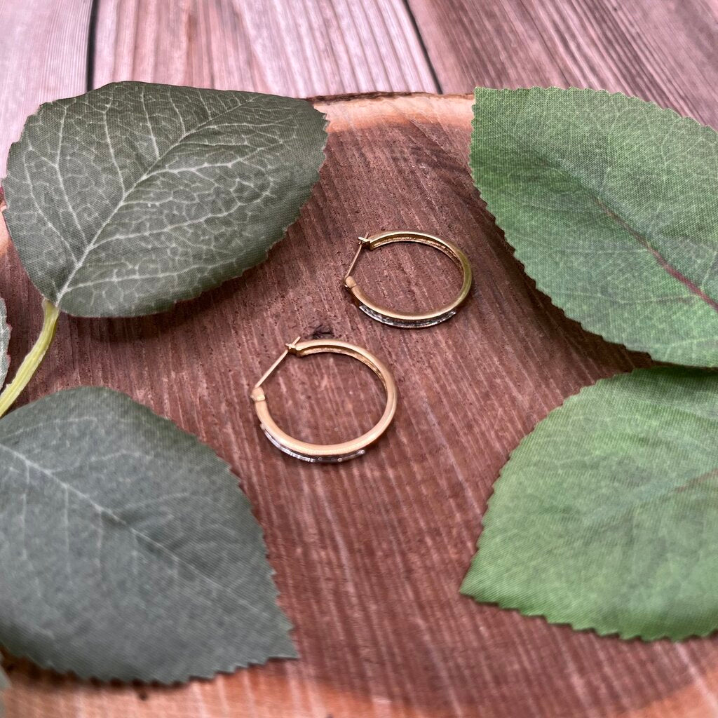 10k YG & Diamond Hook Earrings