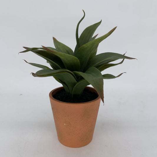 Faux Aloe in Pot