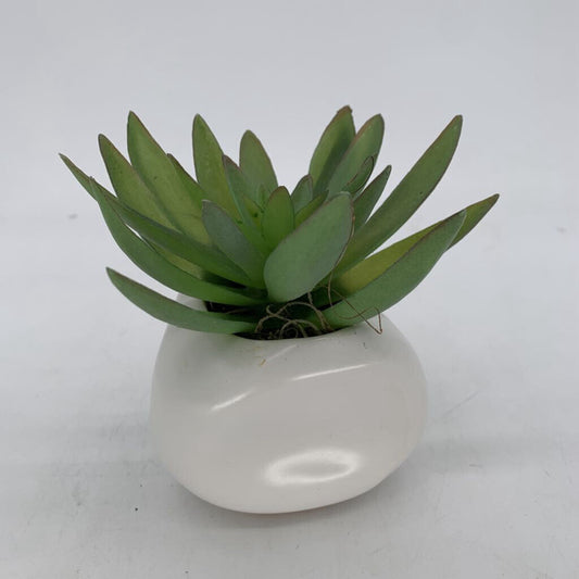 Faux Aloe in Dimple Planter