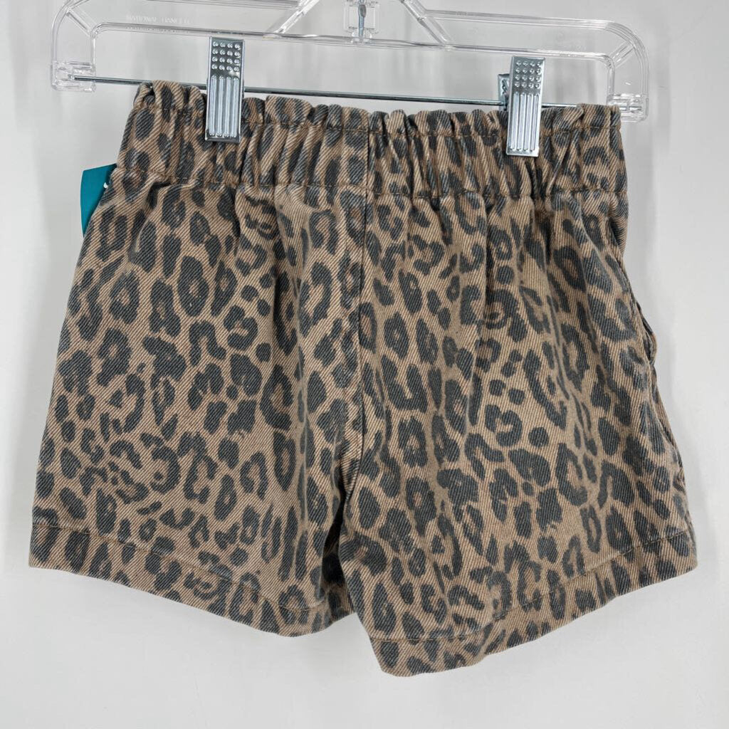 H & M Shorts