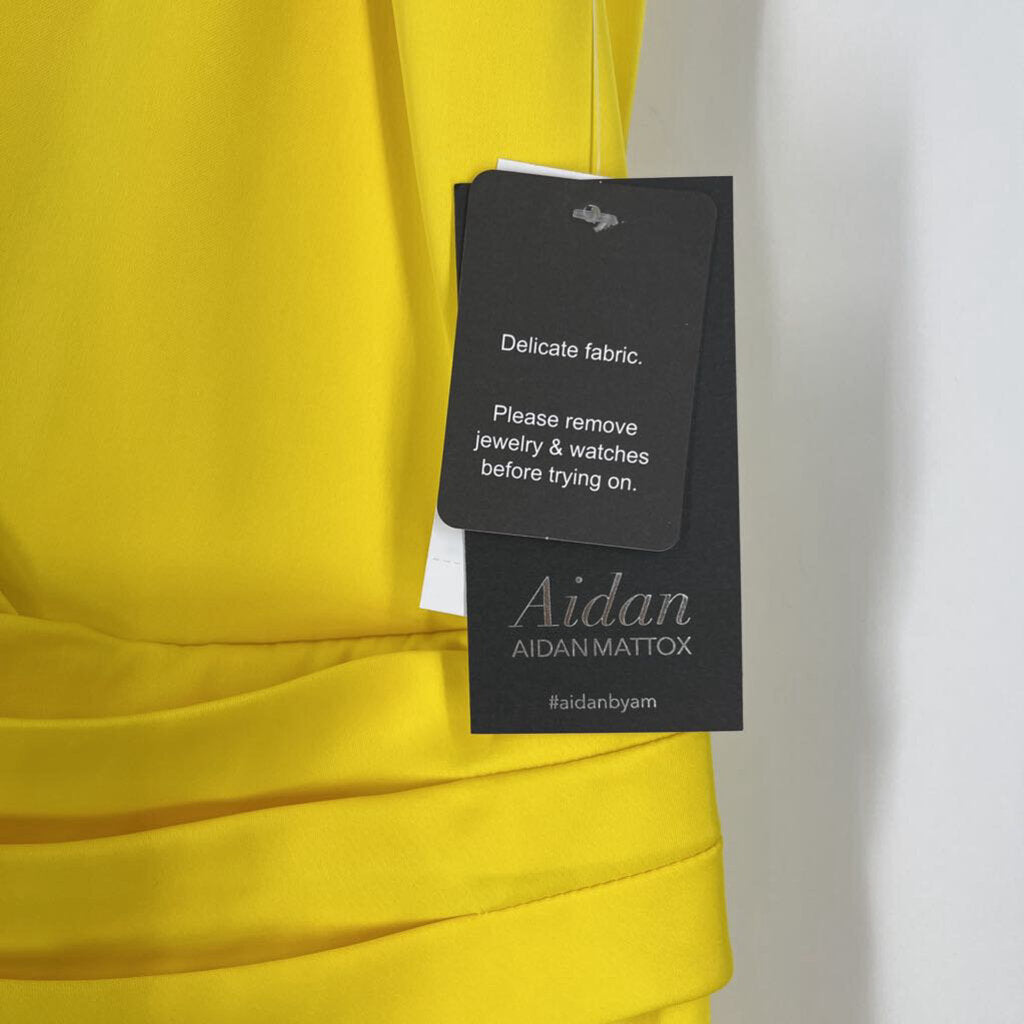 Aiden Slvls V-Neck Draped Gown