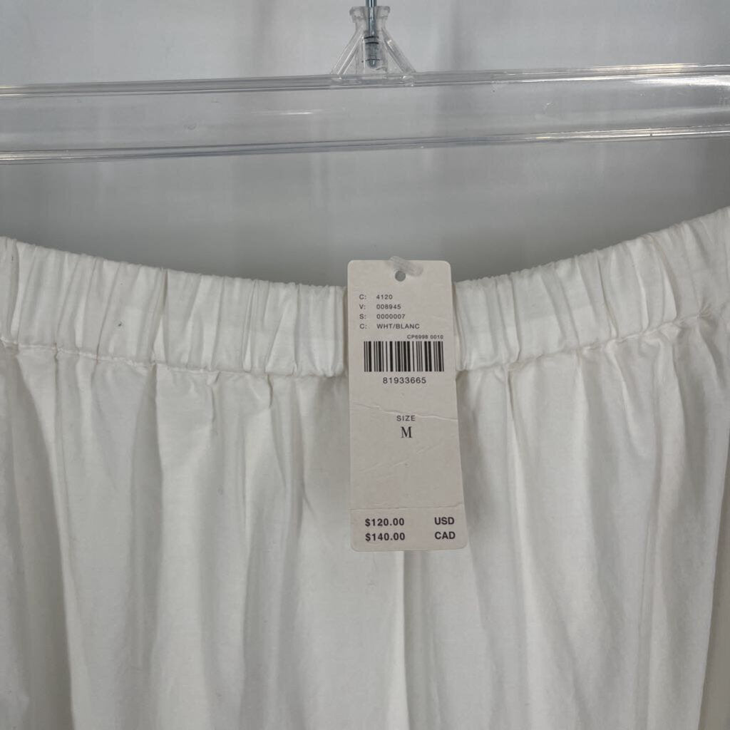 Anthropologie Maxi Skirt